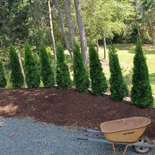Green Deer Landscaping