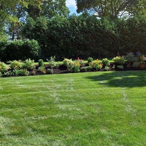Green Deer Landscaping