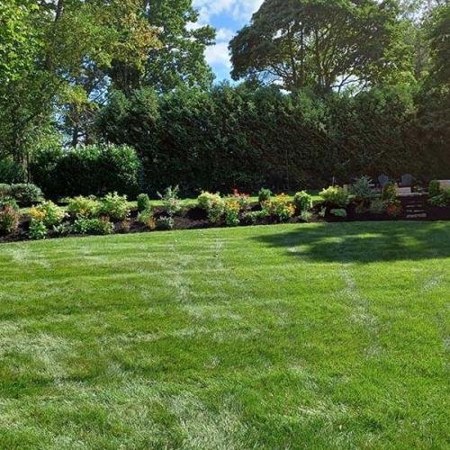 Green Deer Landscaping