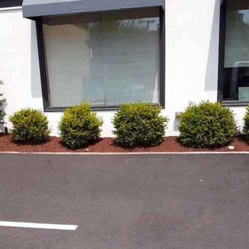 Green Deer Landscaping