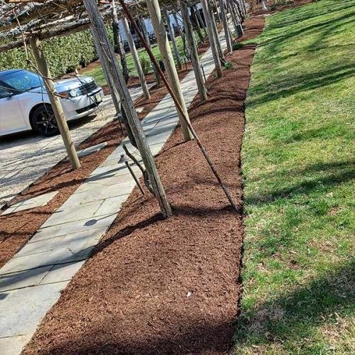 Green Deer Landscaping