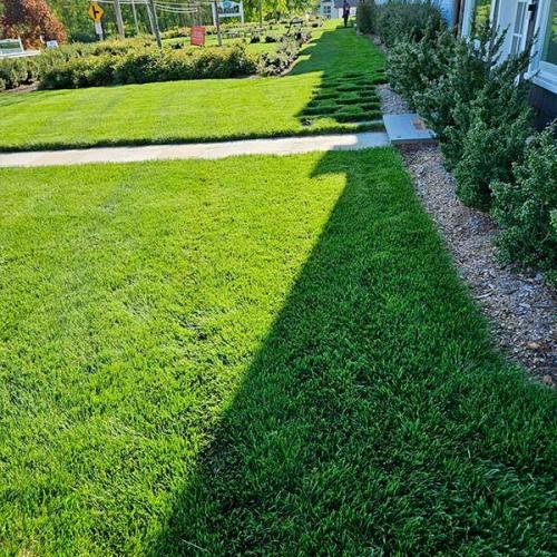 Green Deer Landscaping