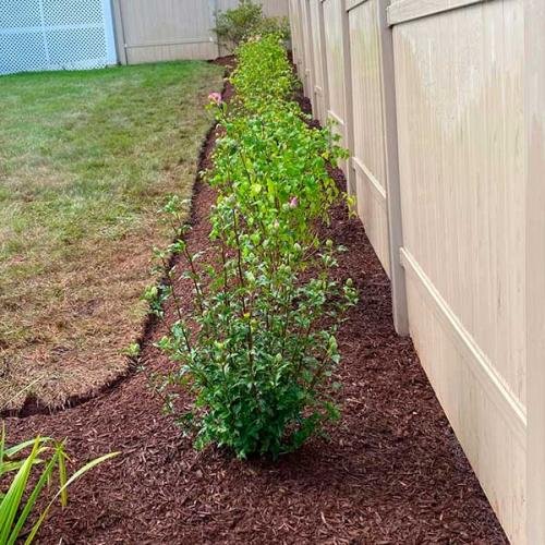 Green Deer Landscaping