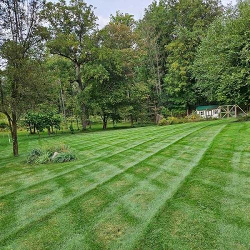 Green Deer Landscaping
