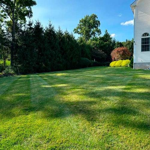 Green Deer Landscaping