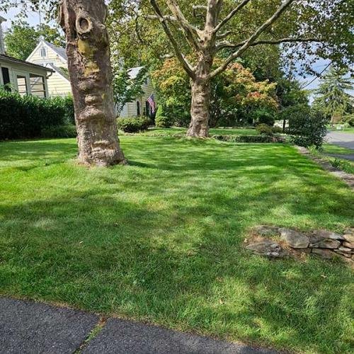 Green Deer Landscaping