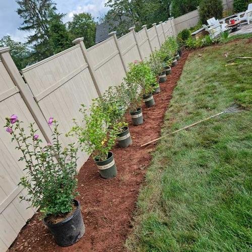Green Deer Landscaping