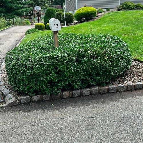 Green Deer Landscaping