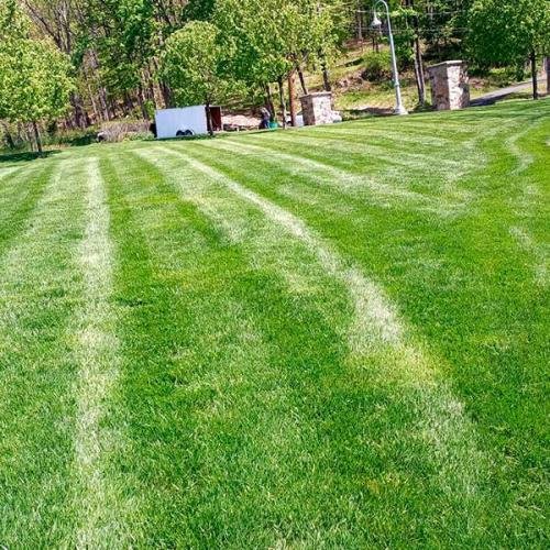 Green Deer Landscaping