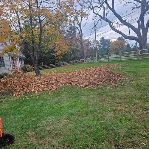 Green Deer Landscaping