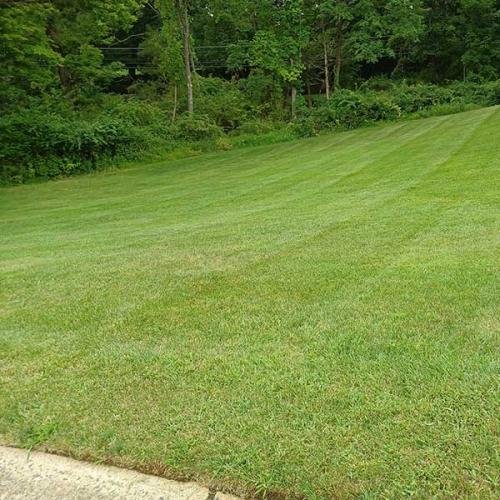 Green Deer Landscaping
